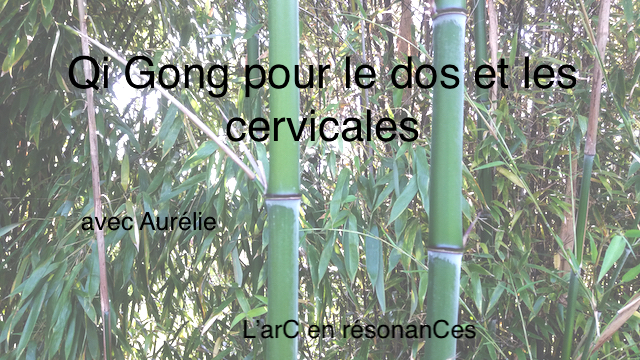 Atelier de Qi Gong pour le dos et les cervicales